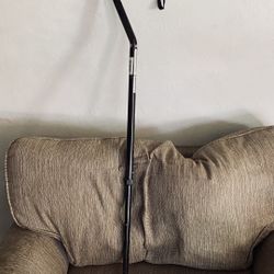 Walking Cane