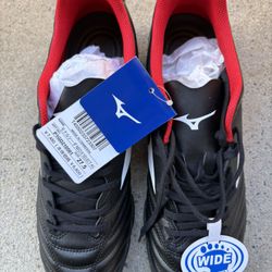 Sport Shoes Brand New