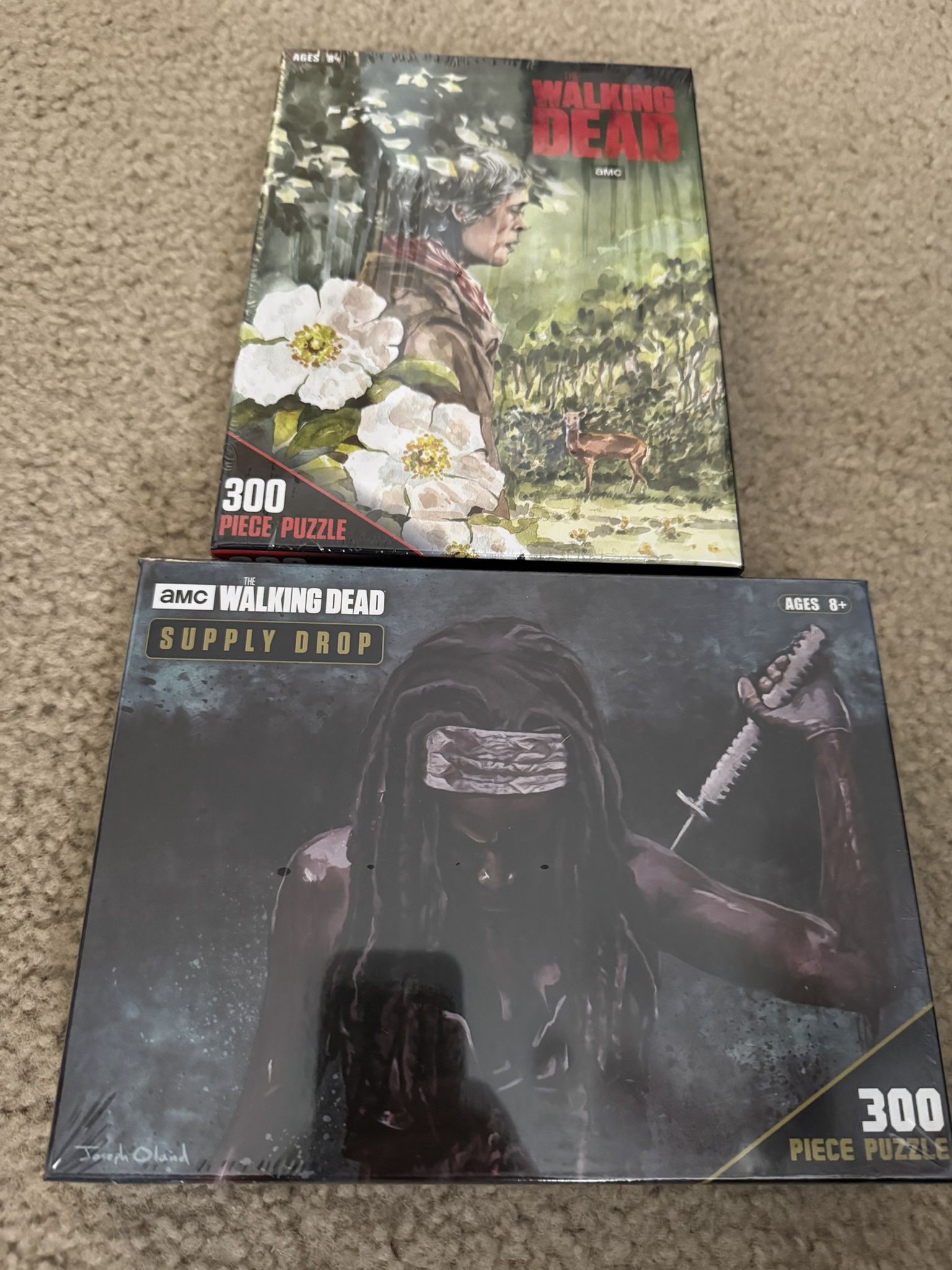 Walking Dead Puzzles 