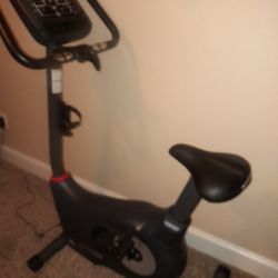 Schwinn Upright Bike