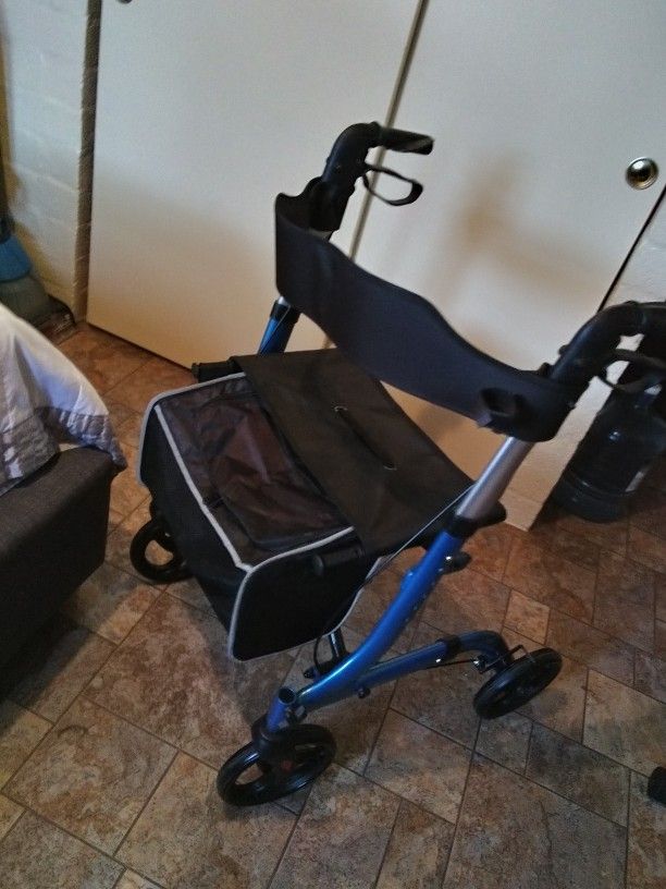 Adult Walker In Good Condition