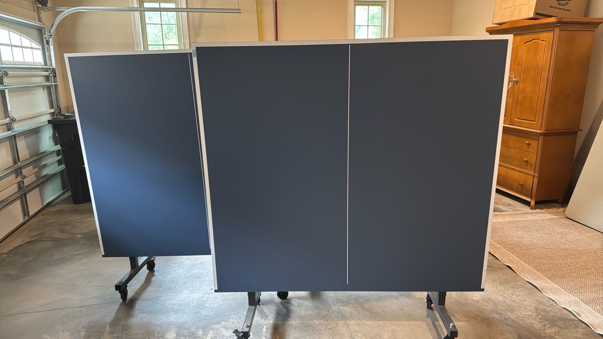 Ping Pong Table
