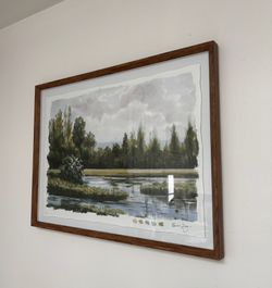 Framed Art Piece