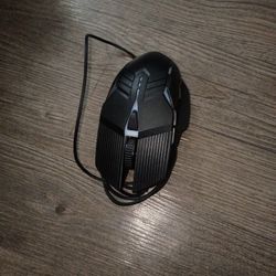 Mouse