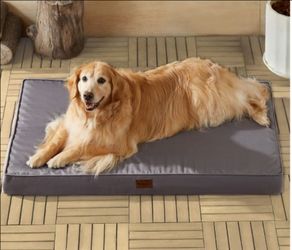 Large dog bed