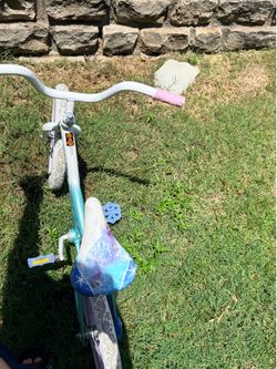 Frozen bicycle
