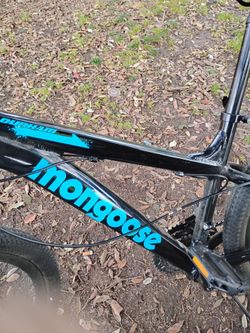 Mongoose