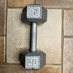 20 Lb Dumbbell