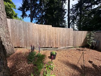 Remove and take 3 year old fence boards