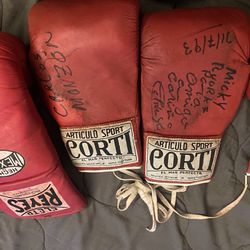 Boxing Gloves Signatures  