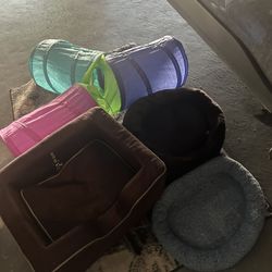 Pets Accessories 
