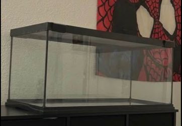 20 gallon reptile tank