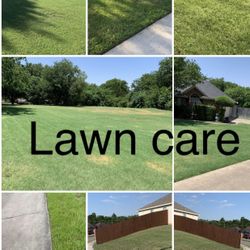 Grass Cut 