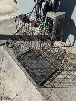 Cages jaulas crate