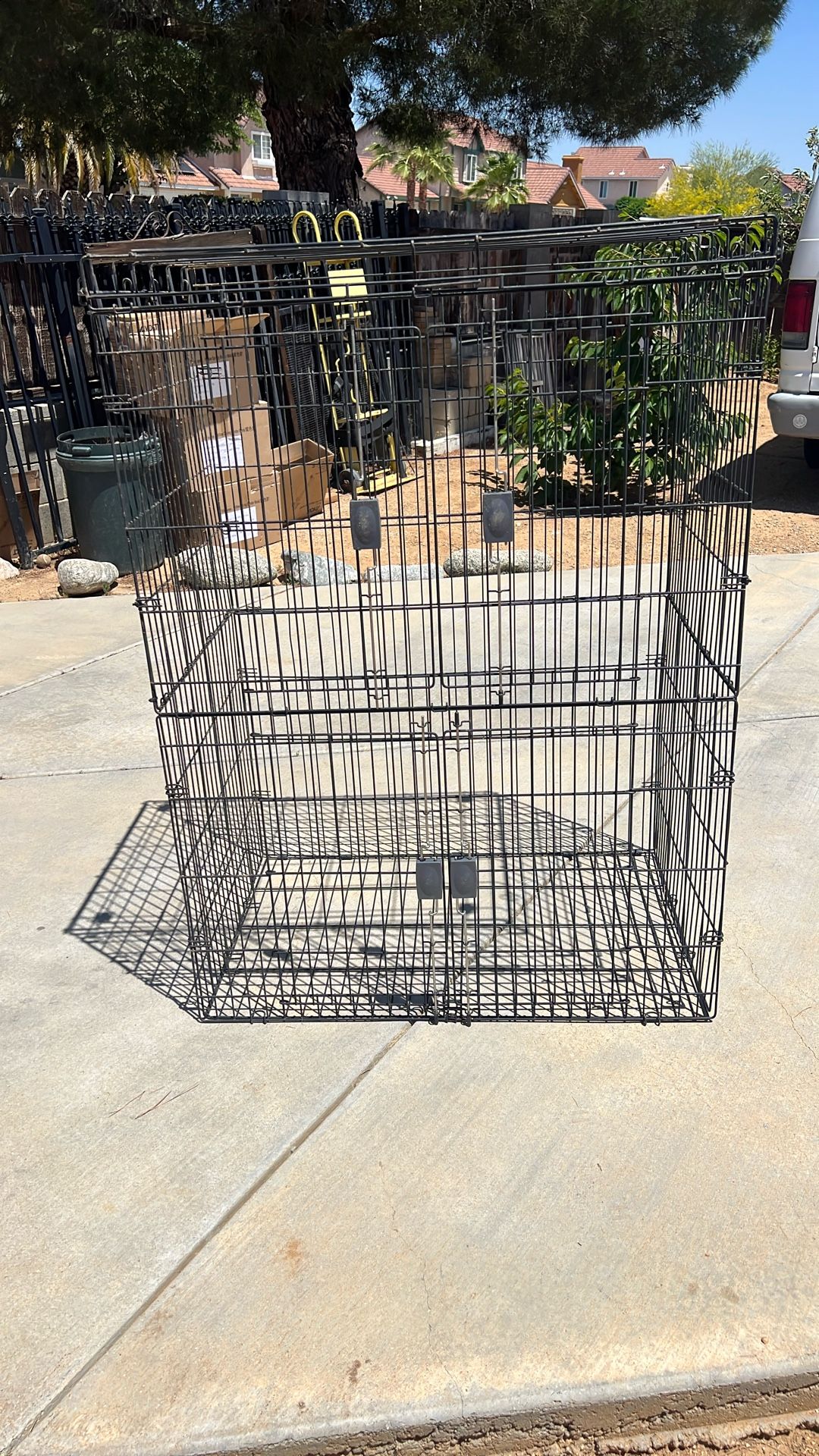 Birds Cage