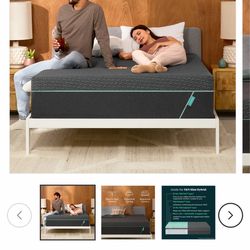 Tuft&Needle Mint Hybrid Mattress (twin)