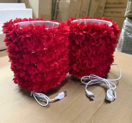 Set of 2  Feather Bedside Table Lamp