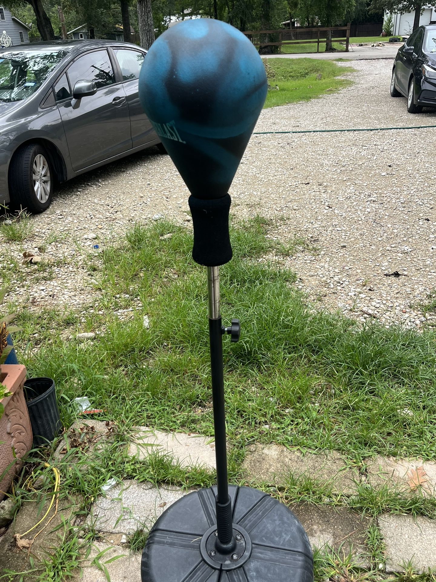 Everlast Speed Bag