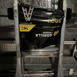 Gorilla Ladder