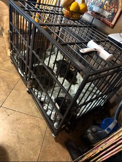Dog crate