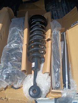 Front and rear struts