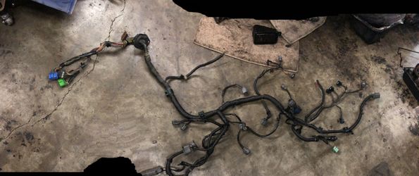 1999-2000 civic si engine harness one piece