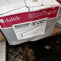 Daltile Bright White Sub tiles 