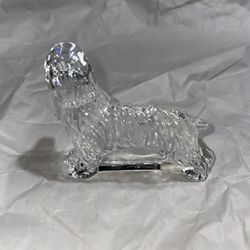 Crystal  Waterford Dog Hound