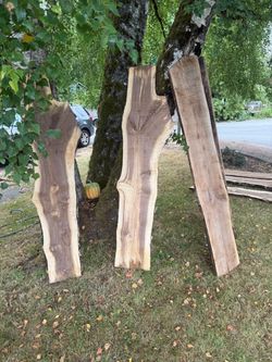 Black walnut slabs