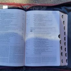 NIV Study Bible Large Print With Case.