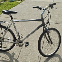 bicycle $40