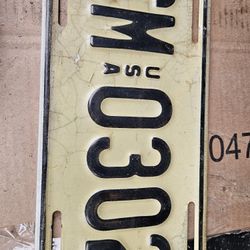 License Plate
