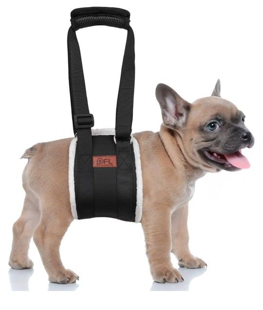 Dog Harness