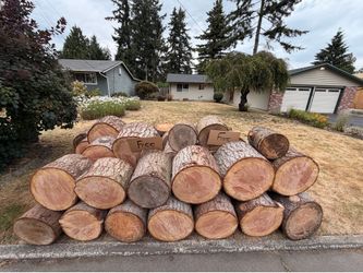 FREE Firewood / Wood Logs - Easy Street Access (Curbside)