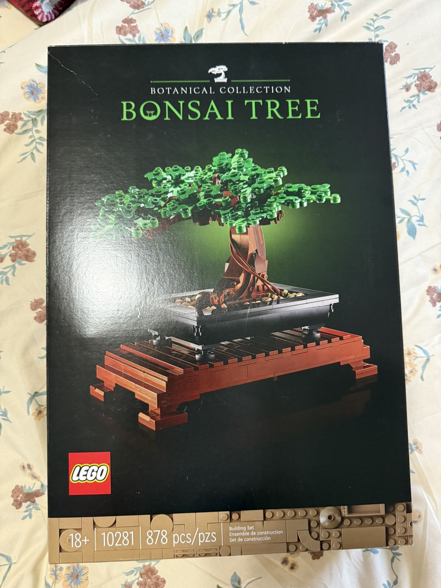 Bonsai Tree