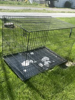 Dog Kennel 