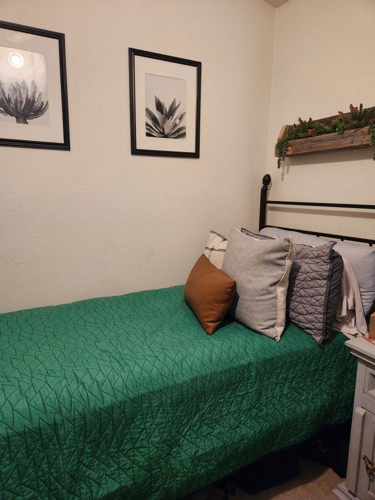 Twin Mattress and Bed Frame