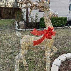 Crismas Deer 