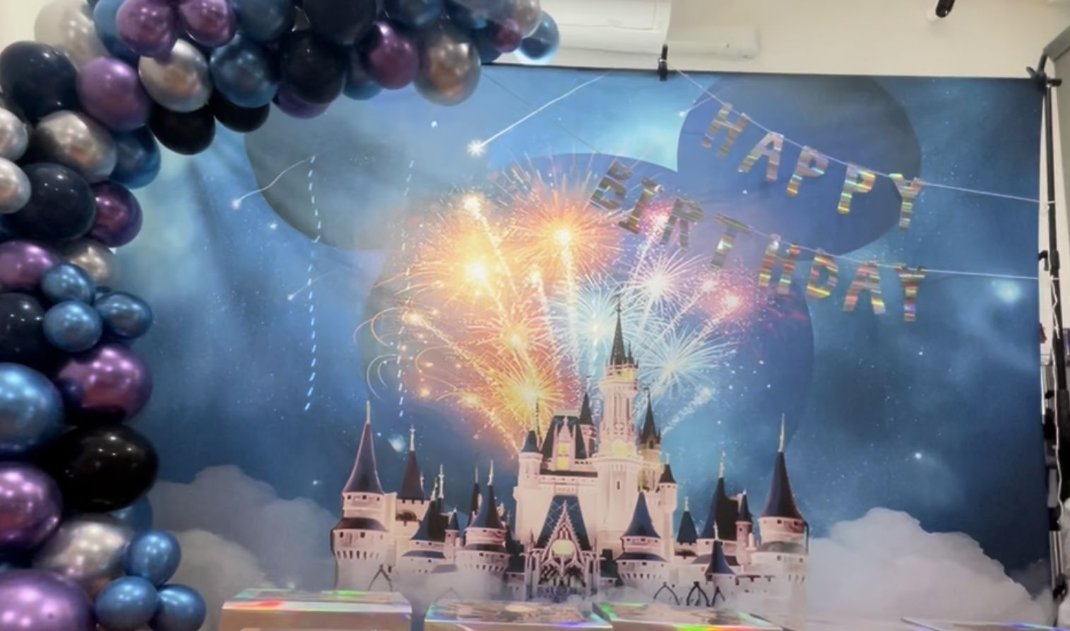 Disney Disneyland Fabric Backdrop