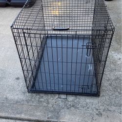 large dog crate 