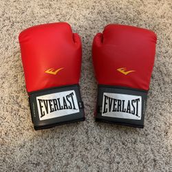  12 Oz Everlast Boxing Gloves