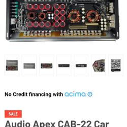 Class D Monoblock Amplifier 