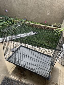 Dog Crate Medium