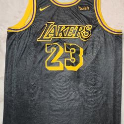Thrifted Laker 23 L. James Jersey