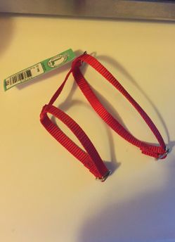 Small Dog Harness