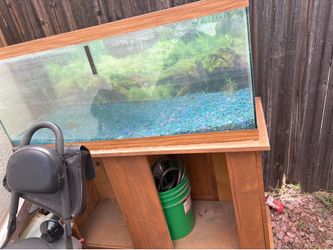 fish tank