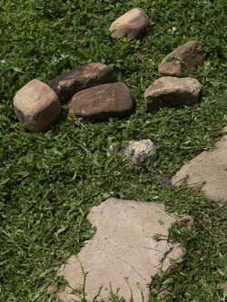 Round pond rocks