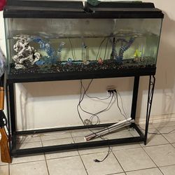 50 gallon fish tank