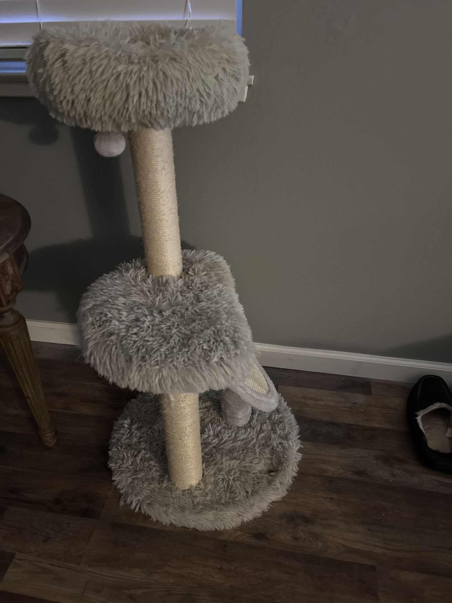 Cat Scratcher