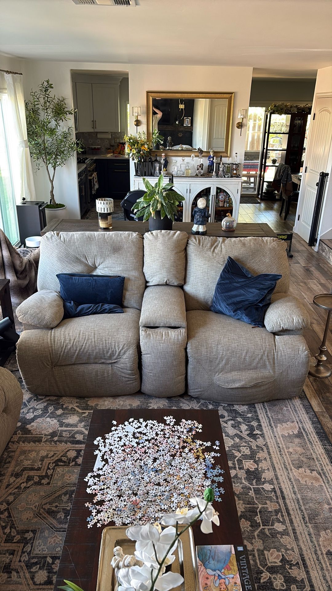 Electric Reclining Couches